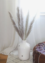 Load image into Gallery viewer, Pack of 5 - Natural Pampas Grass
