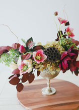 Load image into Gallery viewer, Preserved Burgundy Populus Silver Dollar Eucalyptus