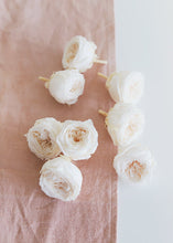 Load image into Gallery viewer, Pack of 8 - Preserved Rose Heads in Champagne White