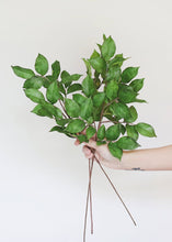 Load image into Gallery viewer, Real Touch Artificial Rose Leaves - 23"