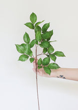 Load image into Gallery viewer, Real Touch Artificial Rose Leaves - 23"