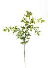 Load image into Gallery viewer, Artificial Nandina Tropical Leaves - 28"
