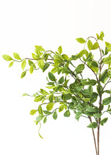Load image into Gallery viewer, Artificial Nandina Tropical Leaves - 28"