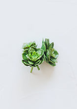 Load image into Gallery viewer, Pack of 3 Mini Artificial Succulents - 1-1.75" Wide