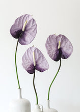 Load image into Gallery viewer, Lavender Cream Fake Anthurium Large Flower - 27"