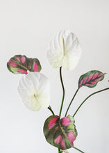 Load image into Gallery viewer, Pink Green Fake Tropical Calathea Leaf Plant - 25"