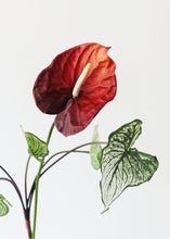Load image into Gallery viewer, Burgundy Red Large Anthurium Fake Flower - 27"
