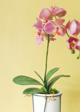 Load image into Gallery viewer, Artificial Phalaenopsis Orchid Leaves - 9"