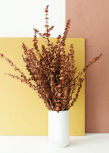 Load image into Gallery viewer, Earthy Terra Cotta Preserved Spiral Eucalyptus - 28-30"