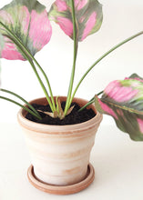 Load image into Gallery viewer, Pink Green Fake Tropical Calathea Leaf Plant - 25"