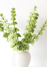 Load image into Gallery viewer, Bells of Ireland Silk Flowers in Light Green