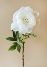 Load image into Gallery viewer, Peony Silk Flower in White - 24" Tall