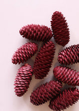 Load image into Gallery viewer, Pack of 9 Burgundy Red Pine Cones - 3.5" Long