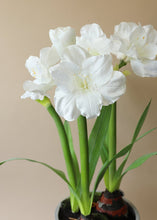 Load image into Gallery viewer, White Fake Amaryllis Plant in Cement Floor Stand - 34"
