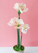 Load image into Gallery viewer, White and Red Fake Amaryllis Christmas Flowers