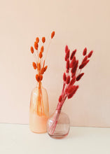 Load image into Gallery viewer, Terracotta Dried Phalaris Grass