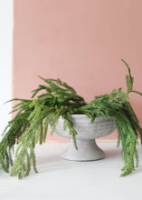 Load image into Gallery viewer, Whitewashed Compote Bowl