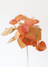 Load image into Gallery viewer, Fake Smoke Tree Leaves in Terra Cotta Orange - 28"