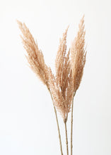 Load image into Gallery viewer, Beige Blush Artificial Pampas Grass - 33"
