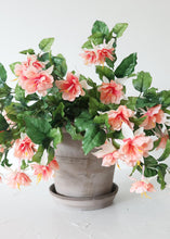 Load image into Gallery viewer, Fuchsia Silk Flower Hanging Bush in Peach Cream