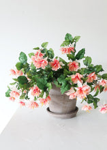 Load image into Gallery viewer, Fuchsia Silk Flower Hanging Bush in Peach Cream