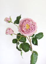 Load image into Gallery viewer, Real Touch Faux English Rose in Lavender Mauve - 22.5" Tall