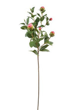Load image into Gallery viewer, Pink Faux Artificial Camellia Rose Bud Stem