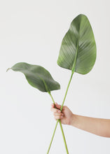 Load image into Gallery viewer, Artificial Calla Leaf - 33"