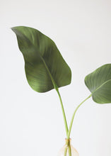 Load image into Gallery viewer, Artificial Calla Leaf - 33"