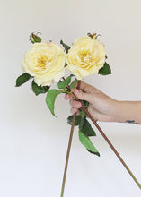 Load image into Gallery viewer, Soft Yellow Fake English Rose