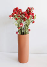 Load image into Gallery viewer, Natural Strawberry Red Globe Amaranth