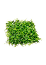Load image into Gallery viewer, UV Protected Indoor/Outdoor Fern Leaf Square Mat - 19.5" Square