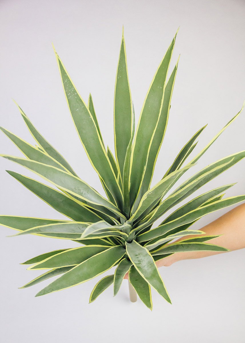 plastic yucca plant Artificial Variegated Yucca Fake Outdoor Plant
