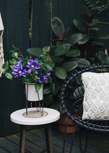 Load image into Gallery viewer, White Glazed Ceramic Plant Stand - 12"