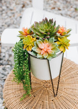 Load image into Gallery viewer, Soft Latex Echeveria Succulent in Green Mauve - 4" Wide