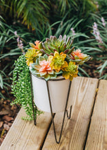 Load image into Gallery viewer, Artificial Echeveria Succulent Pick in Yellow & Green - 2.5" Wide