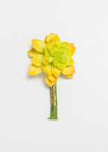 Load image into Gallery viewer, Artificial Echeveria Succulent Pick in Yellow & Green - 2.5" Wide