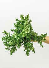 Load image into Gallery viewer, Artificial Indoor/Outdoor Boxwood Bush - 15" Tall