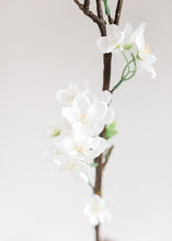 Load image into Gallery viewer, Silk Flowers Apple Blossom Branch in White - 40"