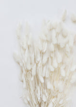 Load image into Gallery viewer, Dried White Bunny Tail
