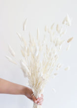 Load image into Gallery viewer, Dried White Bunny Tail
