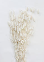 Load image into Gallery viewer, Dried White Bunny Tail