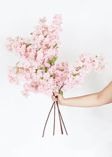 Load image into Gallery viewer, Pink Faux Cherry Blossom Flower Branch - 40"