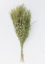 Load image into Gallery viewer, Dried Lepidium Pepper Grass