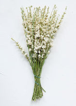 Load image into Gallery viewer, Cream White Dried Flower Larkspur Wildflowers