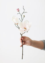 Load image into Gallery viewer, Silk Magnolia Branch in Blush Pink - 19"