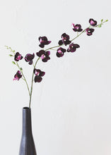 Load image into Gallery viewer, Mini Silk Phalaenopsis Orchid in Eggplant - 30" Tall