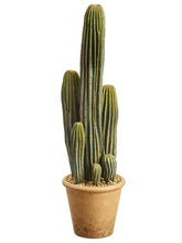 Load image into Gallery viewer, Fake Potted Plants Column Cactus in Pot - 26"