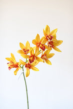 Load image into Gallery viewer, Golden Yellow Artificial Cymbidium Orchids
