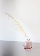 Load image into Gallery viewer, Tall Bleached Plume Reed Grass - 36-40"